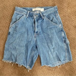 Carpenter shorts